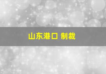 山东港口 制裁